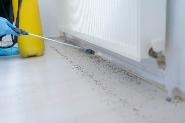 Best Pest Prevention Services  in Ellettsville, IN